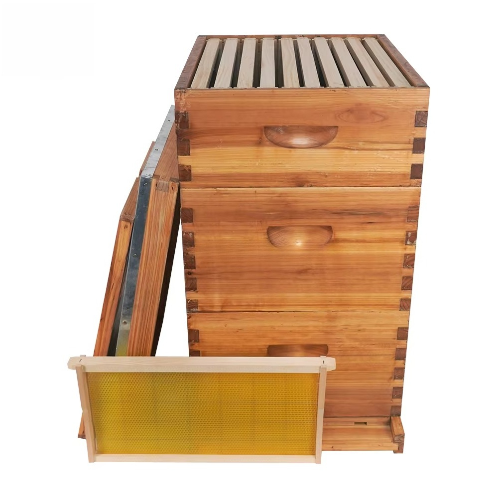 Colmeia Langstroth completa de - Beehive Frame Wax avaliação e preço