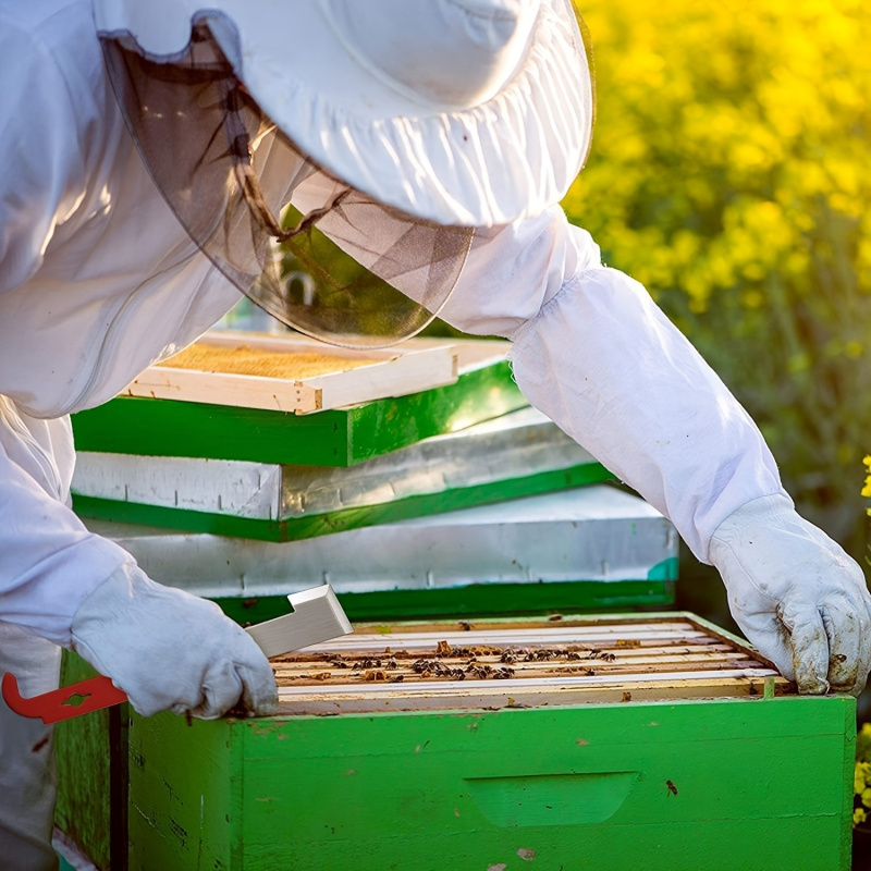 Raspador de Quadros de Colmeia - Beehive Frame Wax avaliação e preço